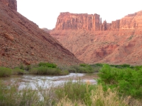 Colorado River from our Campground